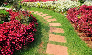 Landscaping in Aurora STATE% Landscaping Services in  Aurora STATE% Landscapers in  Aurora STATE% 