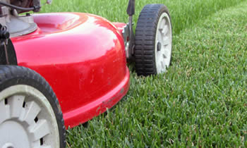 Lawn Care in Aurora CO Lawn Care Services in Aurora CO Quality Lawn Care in Aurora CO